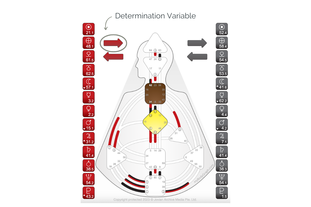 Determination Variable - Human Design for Health Coaches